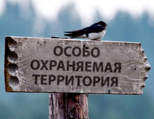 Особо охраняемая территория